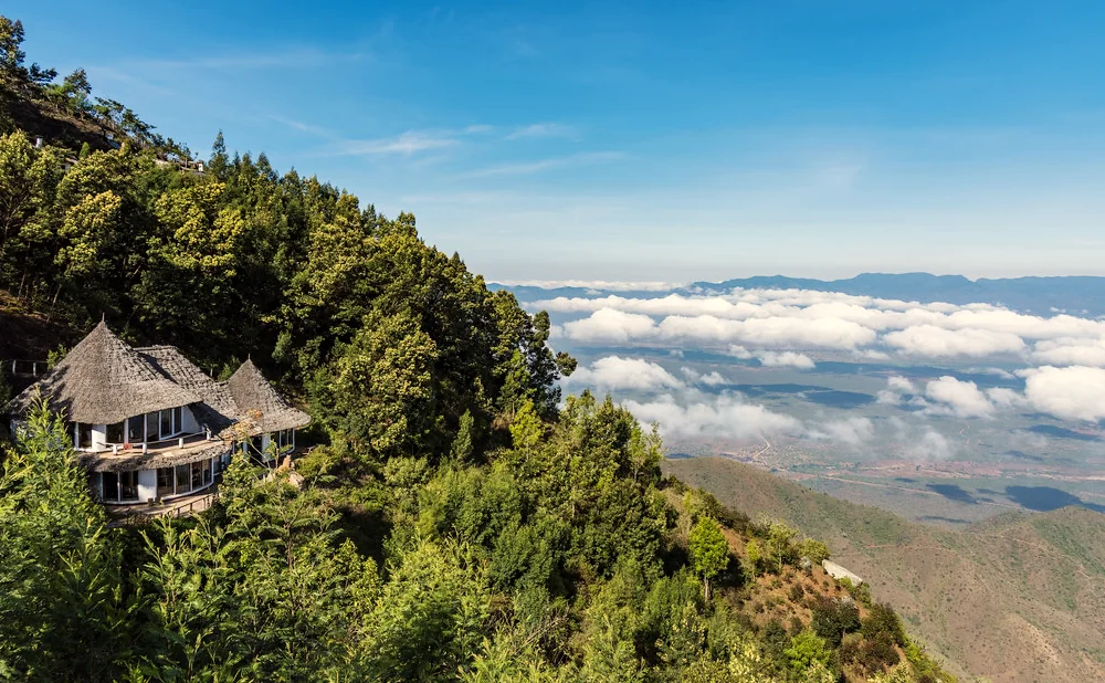 
Usambara Mountains: An Oasis of Tranquility and Biodiversity