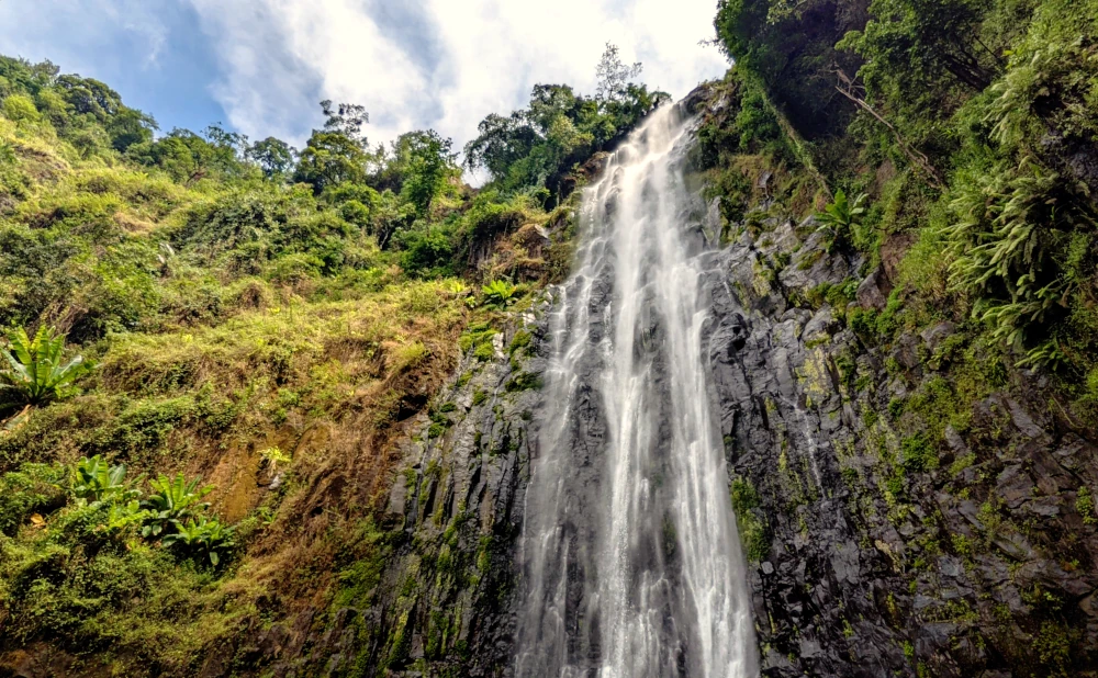 
4-Day Fly in/Fly out Wildlife, Hiking& Hotsprings Safari